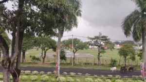 প্রাকৃতিক দুর্যোগের জেরে বদলালো মোদির সভার সময়